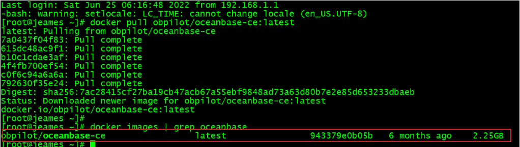 Docker安裝部署分布式數(shù)據(jù)庫 OceanBase的詳細(xì)過程